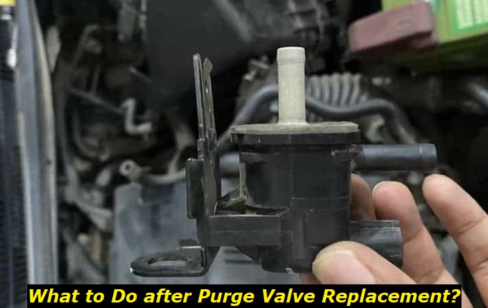 what to do after purge valve replacement